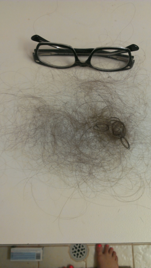 Standard hairloss for my bi-weekly shower in which  I wash my hair