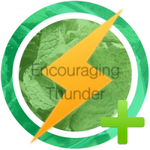 encouraging-thunder-e1427793461525